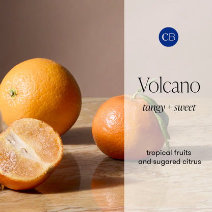 CAPRI BLUE - Autumn Glow Volcano White Signature Candle, 19 oz